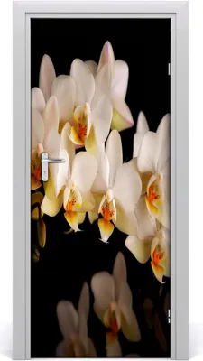 Produktbild von Tulup Türaufkleber 85x205 cm Dekorative Aufkleber Selbstklebend Wasserdichte Tapete Abnehmbar Schlafzimmer Wohnzimmer Wohnkultur - Orchideenen