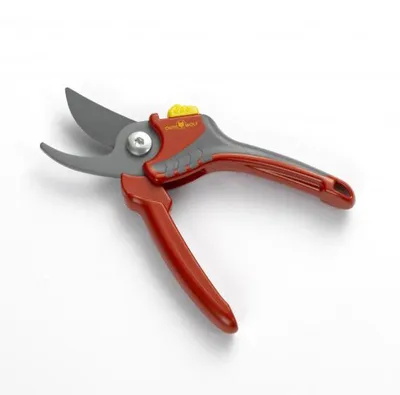 Image de Sécateur Confort coupe franche 22 mm OUTILS WOLF OG200 - Neoflex