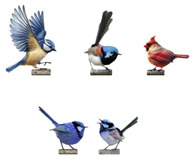 Image de INF 5 Pièces Ornements Décoratifs de Jardin - Figurines d'Oiseaux en Métal Coloré