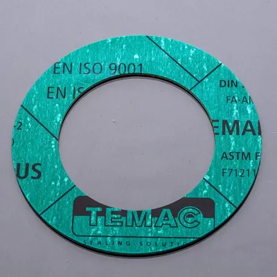 Produktbild von POLBERIS Dichtung DN150 PN10 TEMAPLUS