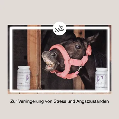 Produktbild von EquiMove Stressreduzierendes Nahrungsergänzungsmittel für Pferde zur Erhöhung der Reizschwelle Dose