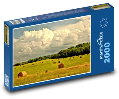 Obrázok produktu pre martinpuzzle - Puzzle 2000 - Krajina - lúka