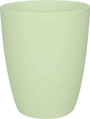 Produktbild von brussels orchidee hoch 12,5cm  zartes grün