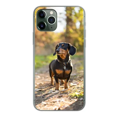 Produktbild von MuchoWow® Handyhülle Schutzhülle Hülle für iPhone 11 Pro Ein schöner Dackel im Wald Silikon Softcase Handy Hülle - Handy