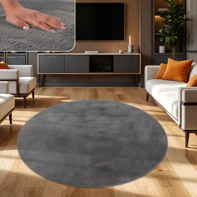 A living room scene with a round rug in the foreground.