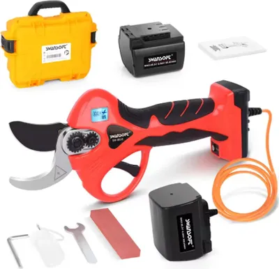 Immagine prodotto di Potatore elettrico, display LED, motore brushless, rosso, due batterie