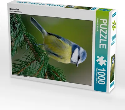 Produktbild von Calvendo Blaumeise 1000 Teile Puzzle hoch 480x640mm, Wilczek Dieter-M.; 7319199