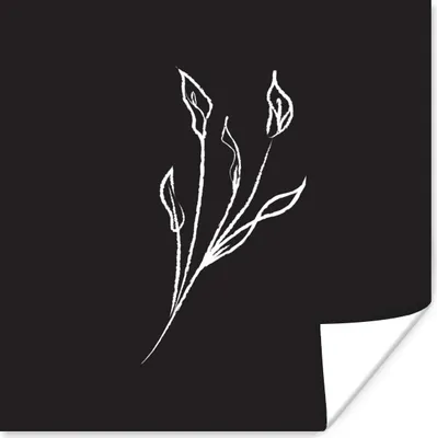 Produktbild von MuchoWow® Poster Pflanzen - Schwarz - Weiß - Strichzeichnung 75x75 cm - Wand Dekoration