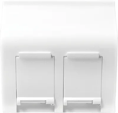 Image de LogiLink Insert modulaire pour système 45 x 45 2 ports 45° blanc (1 softpack)
