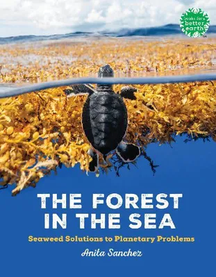 Produktbild von The Forest in the Sea