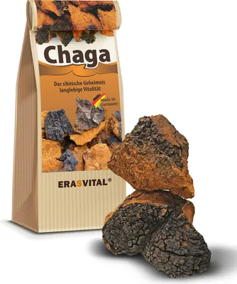 Produktbild von Chaga Pilz Brocken 500g wild gesammelt schonend getrocknet vegan Broschüre mit vielen Rezepten