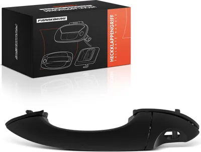 Immagine prodotto di Frankberg 1x maniglia porta anteriore sinistra esterna per BMW X5 E53 2.9L 3.0L 4.4L 4.6L 4.8L 2000-2006