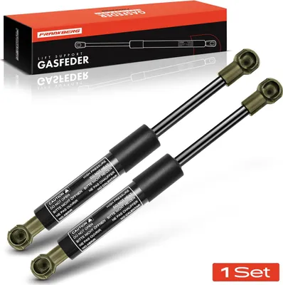 Image de Frankberg 2x Amortisseur à gaz capot pour BMW X5 E53 SUV 2000-2006