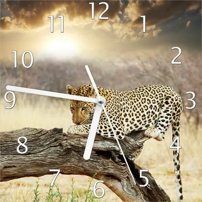 Produktbild von Wallario Design Wanduhr Leopard auf Baumstamm in Afrika aus Echtglas, Größe 20 x 20 cm