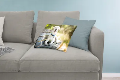 Produktbild von MuchoWow® Zierkissen Sofakissen Wohnzimmer Dekokissen 60x40 cm Labrador Retriever liegend auf einer Bank - Kopfkissen - Polster mit Foto