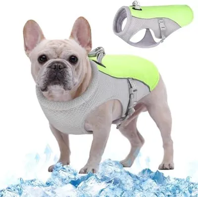 Produktbild von Kuoser Kühlweste für Hunde, Kühlweste Hund für Sommer mit D-Ring, Grün M | Hunde Kühlweste für heiße Sommertage, Atmungsaktive & Reflektierende Hundekühlwesten, Kühljacke Hund für Aktivitäten Draußen