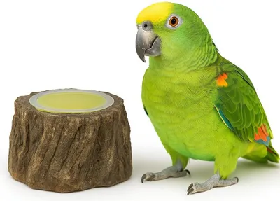 Produktbild von Vogelfreundlicher Tischbecher – Stabiler Geleehalter für Papageien