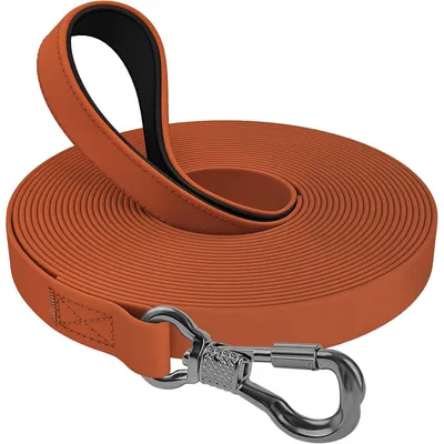 Productafbeelding van Hondenriem, waterdicht, 15 meter, bruin, met afsluitbare karabijnhaak