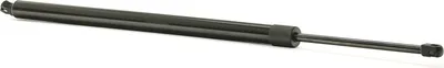 Produktbild von RIDEX 219G0824 Gasfeder Heckklappendämpfer für VW Transporter V Bus (7HB, 7HJ, 7EB, 7EJ, 7EF, 7EG, 7HF, 7EC) 755mm