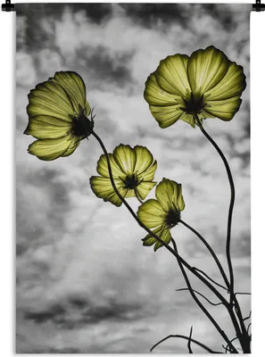 Produktbild von MuchoWow® Wandteppich Wandbehang Blumen - Schwarz - Weiß - Gelb 120x180 cm Tapisserie Dekoration Wandtuch - Schlafzimmer - Dekorationen für das Haus