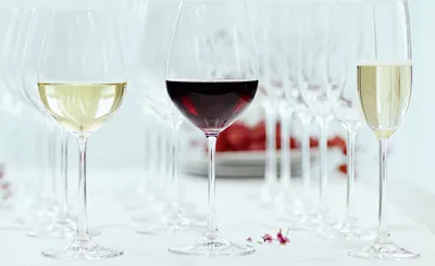 Immagine prodotto di Spiegelau Champagnerflöte  456/07 Salute  4720175