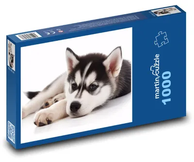 Obrázok produktu pre Puzzle 1000 Oddychujúce šteniatko husky - martinpuzzle