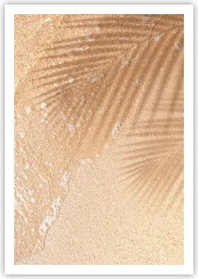 Produktbild von Poster - Poster ohne Rahmen - Sand Schatten Blätter - 70x100 cm - Wand Bild - Wanddeko - Wandbilder - Kunstposter - Wandposter - Bilder - Kunstdruck - Wanddekoration - Wandbild - P2XPA70x100-4580