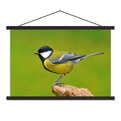 Produktbild von MuchoWow® Textilposter Vogel - Kohlmeise - Tiere - Grün 60x40 cm mit schwarzem Rahmen - Hölzernes