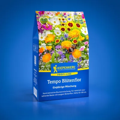 Produktbild von Kiepenkerl Blumensamen Tempo Blütenflor 40 m²