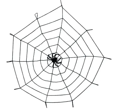 Produktbild von Gummi-Spinnweben 150cm - Halloween Deko Outdoor Indoor