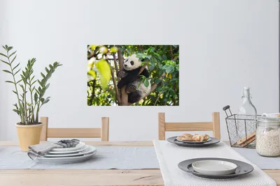 Produktbild von MuchoWow® - Wierderverwendbar - Selbstklebend