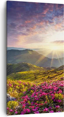 Produktbild von Bild auf Leinwand - Leinwandbild - Gebirge Wiese Landschaft Wald - 45x80cm - Wand Bild - Wanddeko - Leinwanddruck - Bilder - Kunstdruck - Wanddekoration - Leinwand bilder - Wandkunst - PA45x80-3152