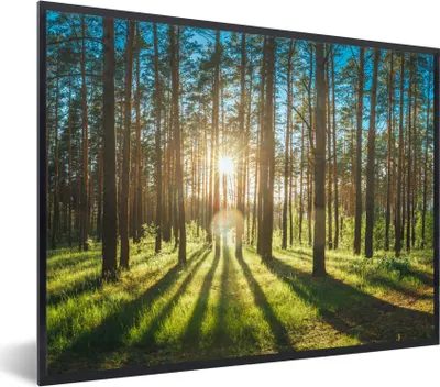 Produktbild von MuchoWow® Gerahmtes Poster Sonne - Bäume - Landschaft - Gras 80x60 cm - Poster mit Schwarzem Bilderrahmen Wandposter Rahmen Foto Bilder - Schwarzem - Mit Gestell