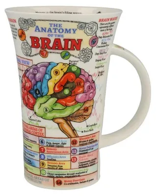 Produktbild von Dunoon Jumbobecher Glencoe The Brain das Gehirn für 500ml Formano