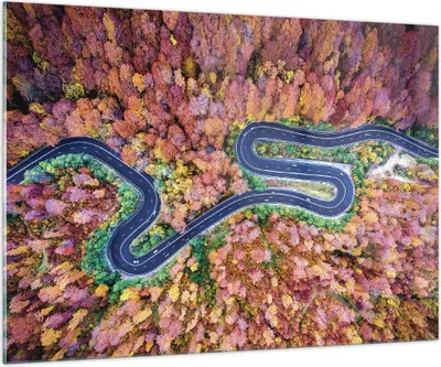 Produktbild von Bilder auf glas - Einteilig - Kurvenreich Weg Wald - 100x70cm - Glasbilder - Wandbilder - Bilder - zum Aufhängen bereit - Wanddekoration aus Glas - Glas Bilder - Wandbild auf Glas - GAA100x70-4291