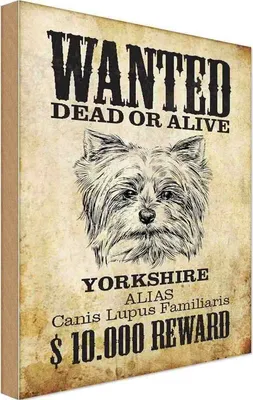 Produktbild von vianmo Holzschild 30x20 cm Hund wanted dead Yorkshire Tier Haustier