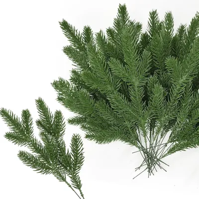 Produktbild von Kunstdennentakken, 26,5 cm lang, 50 Stück, für Adventskränze
