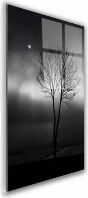 Zdjęcie produktu dla OBRAZ NA SZKLE PROSTOKĄTNY 40x60cm 024 Drzewo