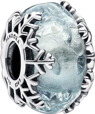 A close-up studio shot of a Pandora charm.