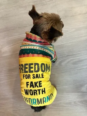 Image de Surtep Animals Freedom - Combinaison pour chien