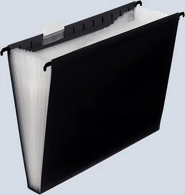 Produktbild von FSY Fächer-Hängetasche A4, 12 Fächer, PP, schwarz, 1 Stück