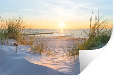 Produktbild von MuchoWow® Wandtattoo Wandsticker Wandaufkleber Strand - Sonne - Düne - Gras - Sand - Horizont 90x60 cm Selbstklebend und Repositionierbar - Aufkleber