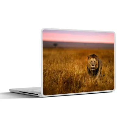 Produktbild von MuchoWow® Laptop Aufkleber Sticker Cover Löwe - Savanne - Gras 30x22 cm - Laptop-Sticker