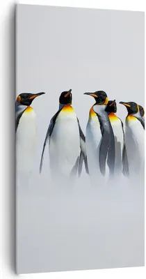 Produktbild von Bild auf Leinwand - Leinwandbild - Pinguine Winter Schnee Spaziergang - 65x120cm - Wand Bild - Wanddeko - Leinwanddruck - Bilder - Kunstdruck - Leinwand bilder - Wandkunst - PA65x120-2893