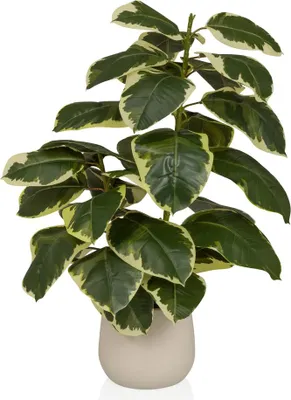 Produktbild von hjh OFFICE Kunstpflanze Ficus 3 Künstliche Pflanze im Topf Ficus elastica Höhe 85.0 cm Deko