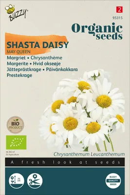 Artikelbild 2 von 'BIO Margerite May Queen' aus der Kategorie Margeritensamen