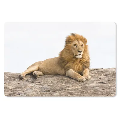 Produktbild von MuchoWow® Mauspad Mousepad Löwe - Mähne - Tier 27x18 cm - Mousepads - Maus Mat - Pad - Mausunterlage - Büroartikel - Desk Matten