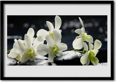 Produktbild von Bild 70x50 MDF-Rahmen Wandkunst Blume Orchidee Pflanze