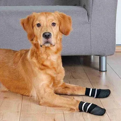 Obrázek produktu pro Trixie Protiskluzové ponožky pro psy, 2 ks, bavlna/Elastan, černá