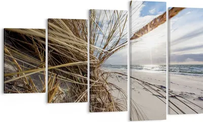 Produktbild von Bild auf Leinwand - Leinwandbild - 5 Teile - Küste Perspektive Gras - 100x60cm - Wand Bild - Wanddeko - Wandbilder - Leinwanddruck - Bilder - Wanddekoration - Leinwand bilder - EG100x60-4526